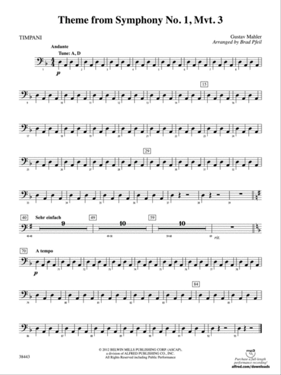 Theme from Symphony No. 1, Movement 3: Timpani String Orchestra scores gallery preview page 1