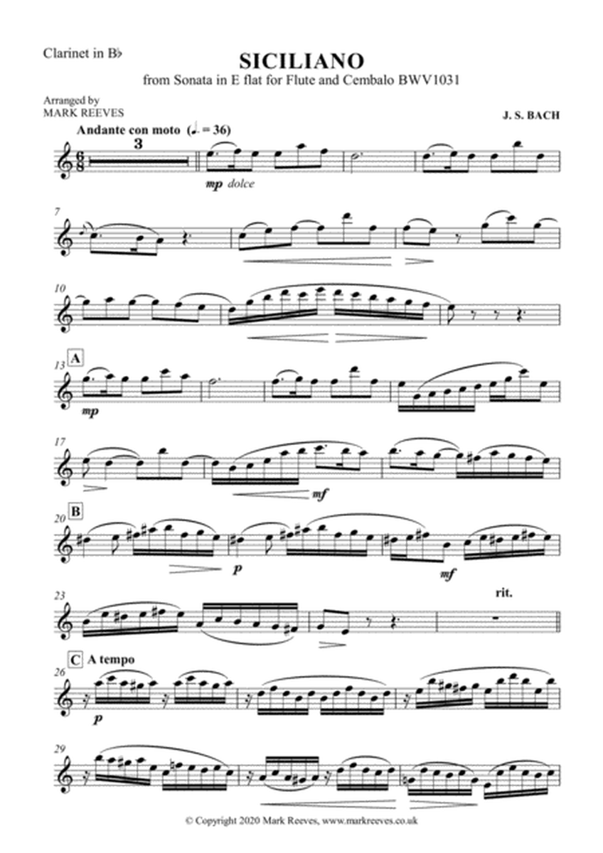 Siciliano for Clarinet and Piano image number null