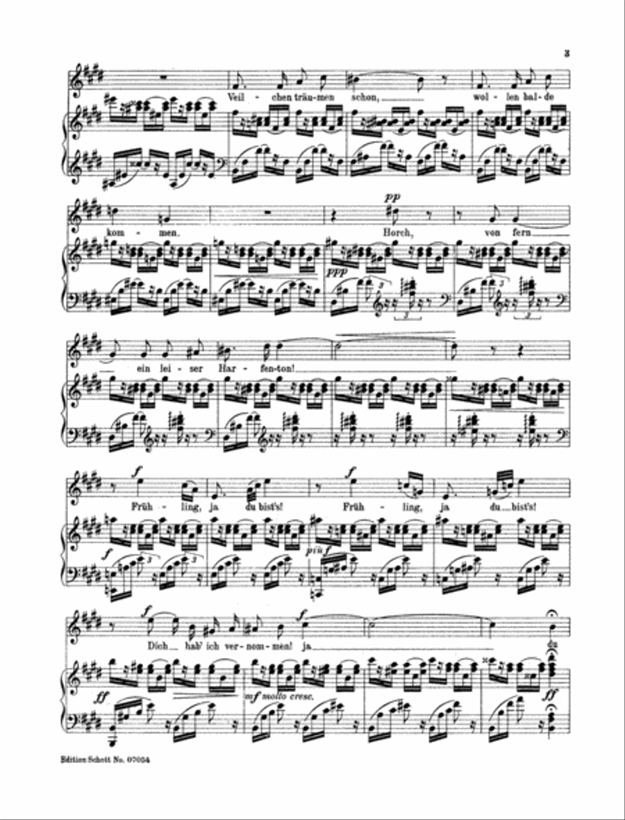 Er ist's / Der Gärtner Medium Voice scores gallery preview page 2