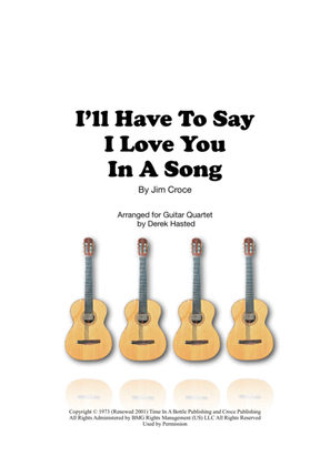 Book cover for I'll Have To Say I Love You In A Song