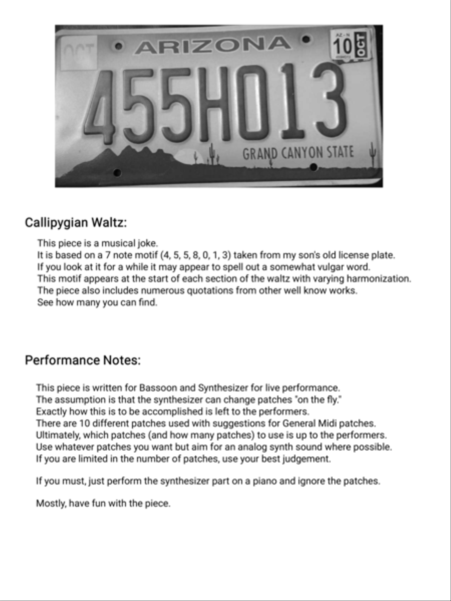 Callipygian Waltz Bassoon scores gallery preview page 2