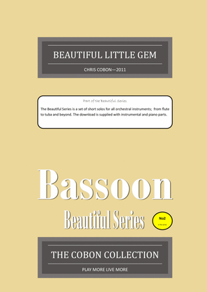 No.2 Beautiful Little Gem for Bassoon