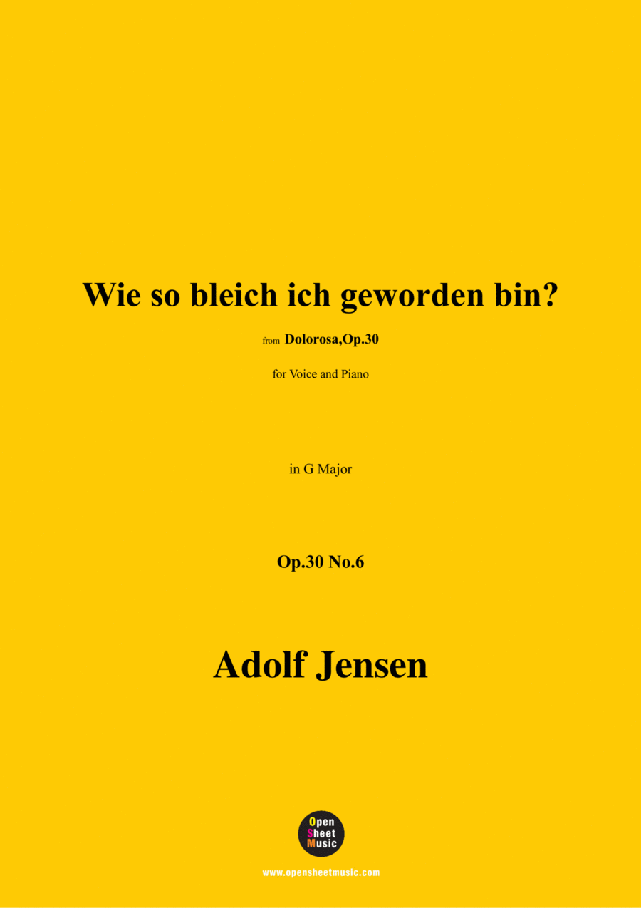 A. Jensen-Wie so bleich ich geworden bin?,Op.30 No.6,in G Major Voice scores gallery preview page 1