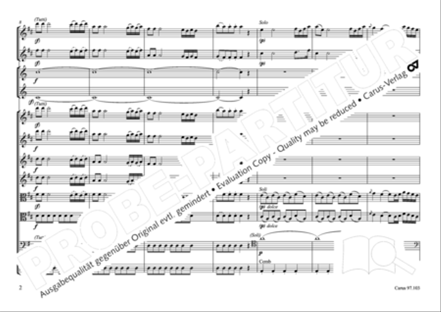 Concertone in D major Horn scores gallery preview page 3