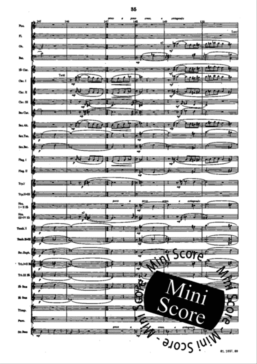 Evocazioni Evocazioni Concert Band scores gallery preview page 39