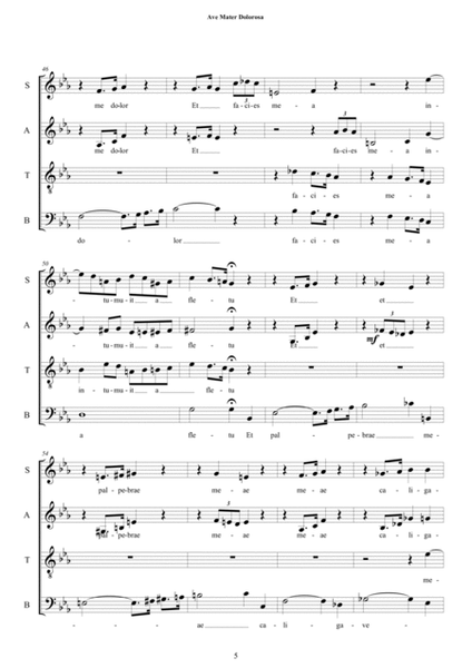 Ave, Mater Dolorosa - Motet for Choir SATB a cappella image number null