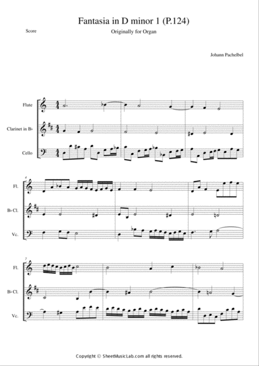 Fantasia in D minor 1 (P.124) Clarinet scores gallery preview page 1