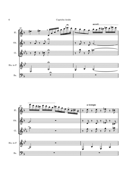 Capricho Arabe for Woodwind Quintet image number null