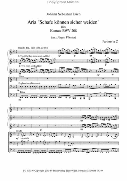 Cantata BWV 208