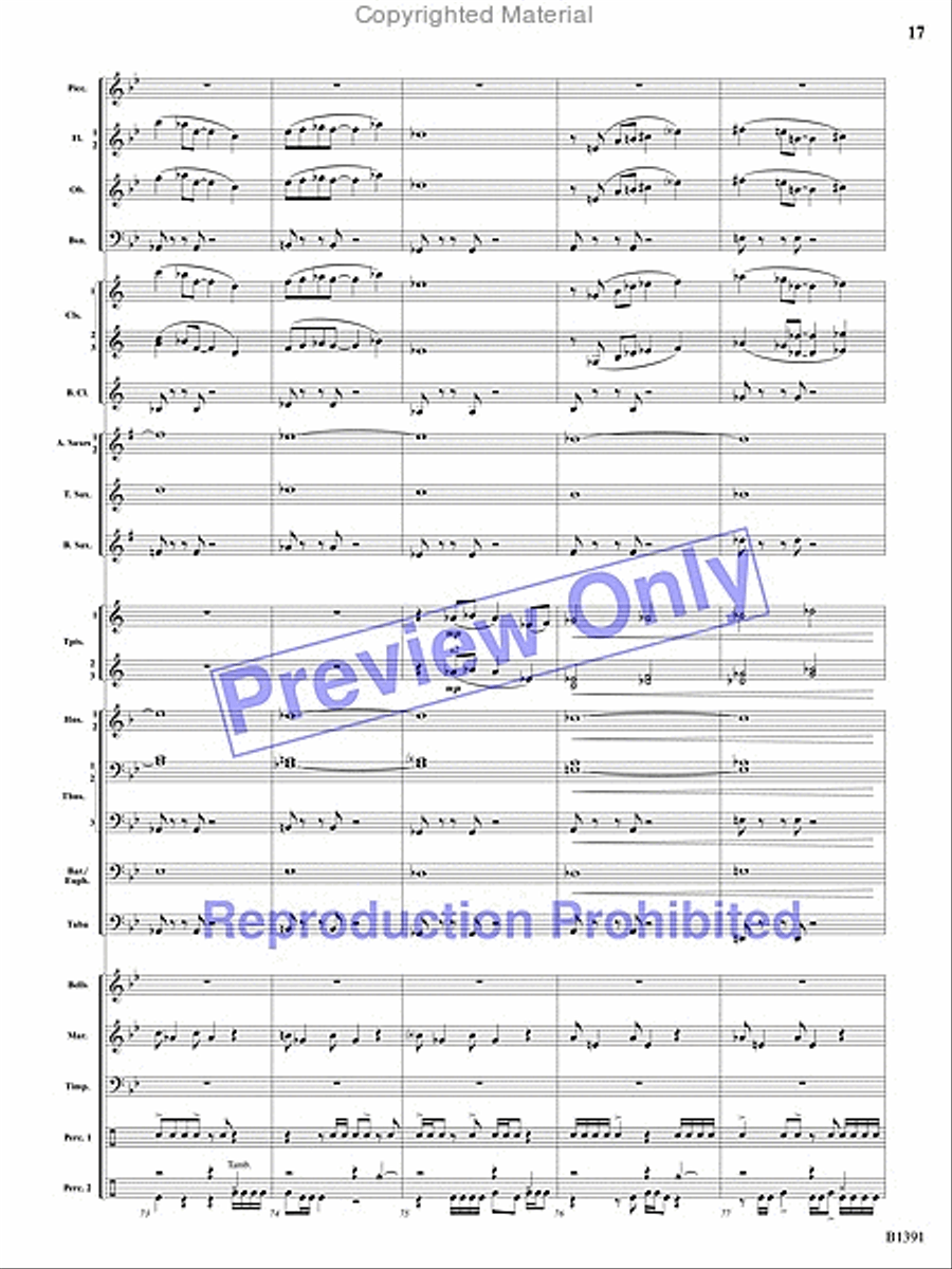 Sunburst Concert Band scores gallery preview page 16