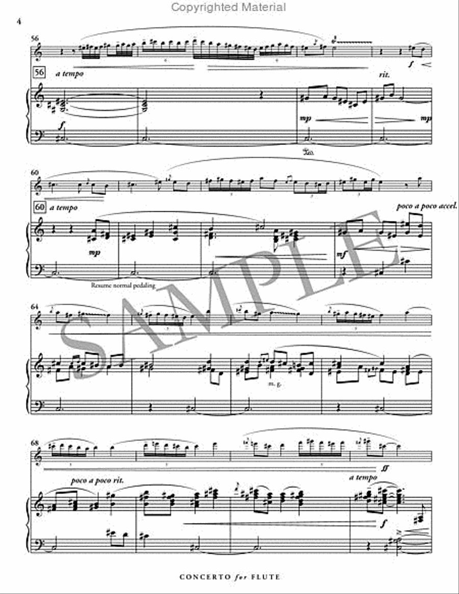 Concerto for Flute Concerto for Flute Flute Solo scores gallery preview page 5