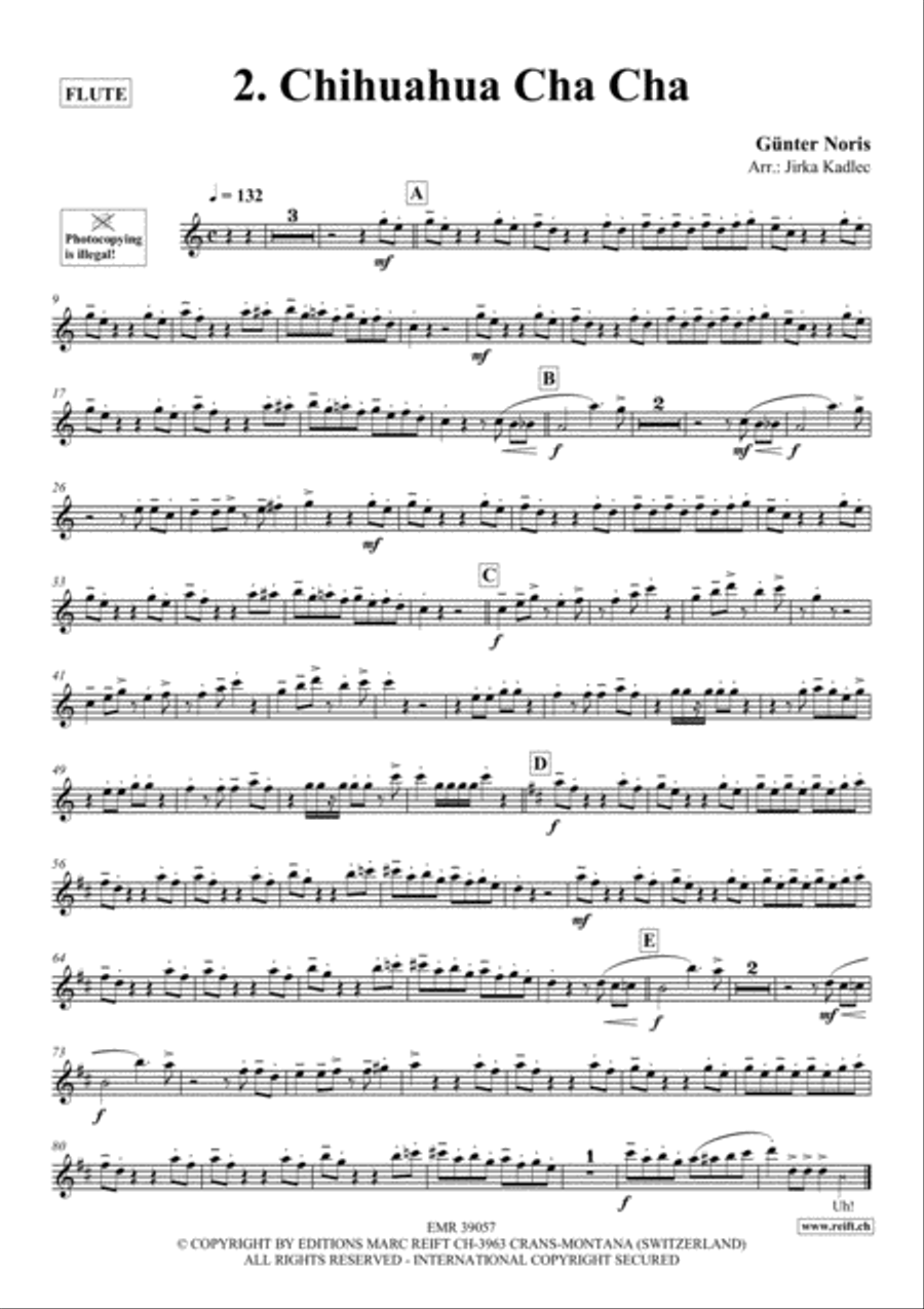 12 Greatest Dance Party Hits Flute Solo scores gallery preview page 3
