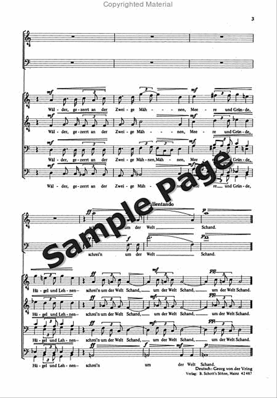 Klagegesang TB scores gallery preview page 4