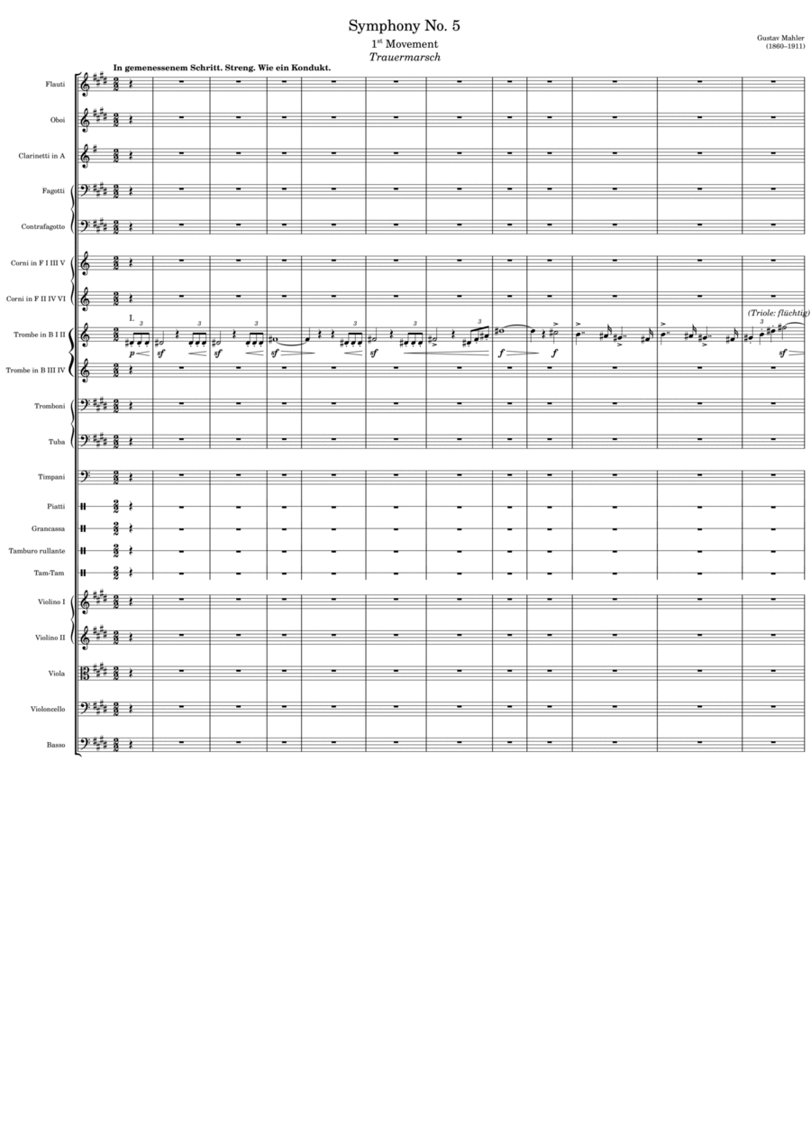 Symphony No. 5 (1st Movement) Full Orchestra scores gallery preview page 1