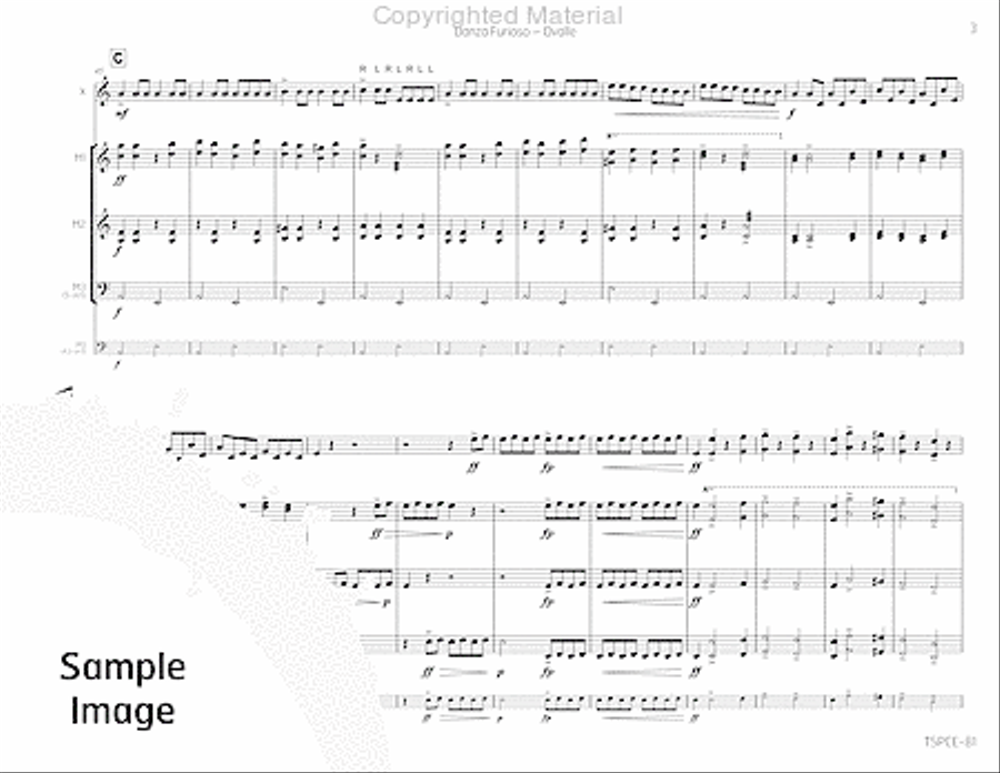 Danza Furioso Percussion Ensemble scores gallery preview page 6