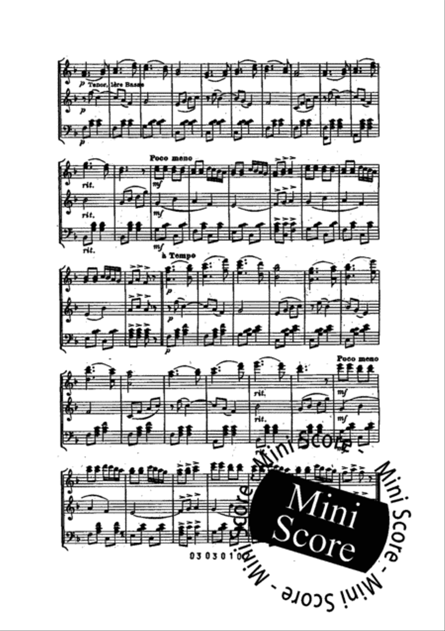 Bummel Petrus Bummel Petrus Fanfare Band scores gallery preview page 5