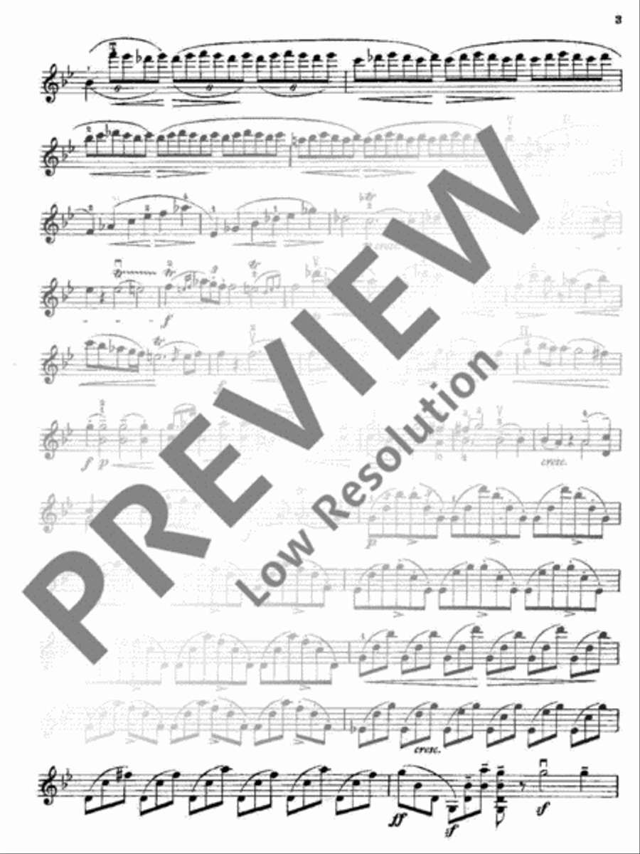 Chaconne Violin Solo scores gallery preview page 19