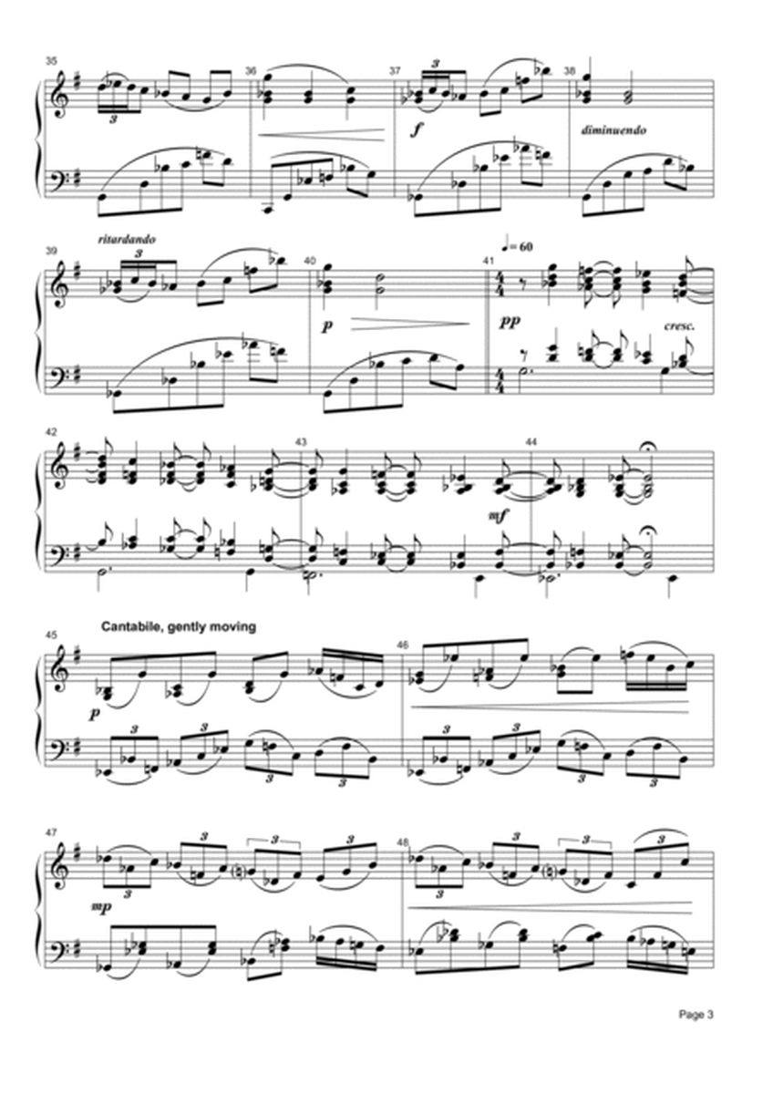 Rhapsody in G Major for Solo Piano image number null