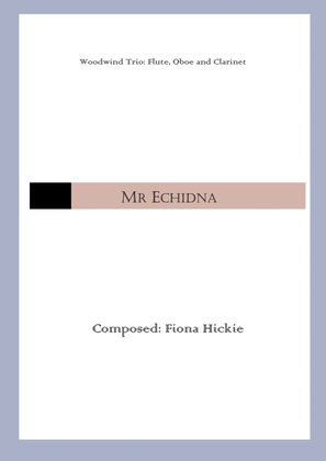 Book cover for Mr Echidna