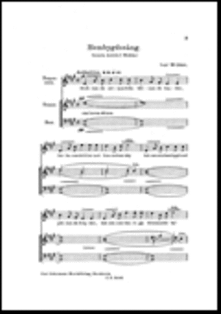 Hembygdssang TTBB scores gallery preview page 1