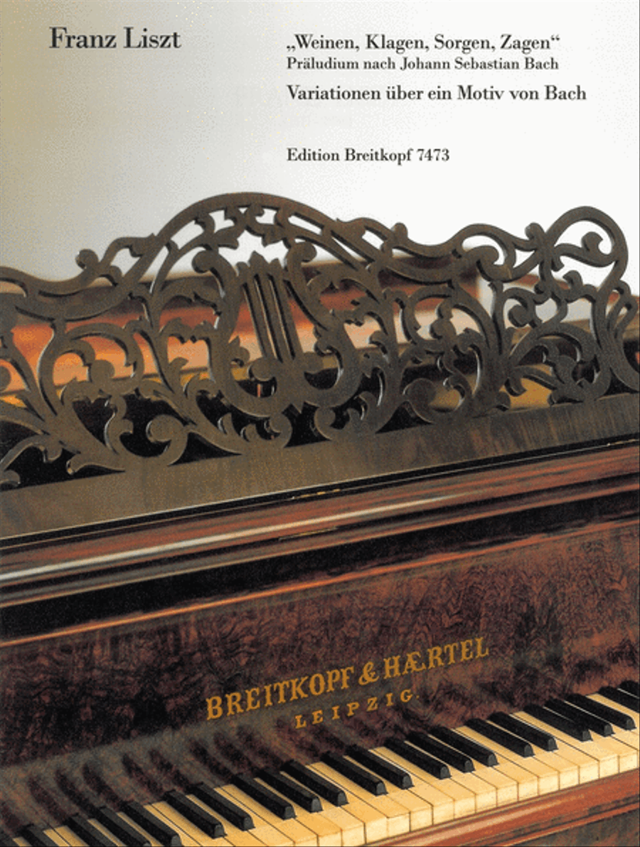 Weinen, Klagen, Sorgen, Zagen Piano Solo scores gallery preview page 1