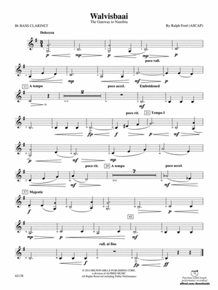 Walvisbaai: B-flat Bass Clarinet