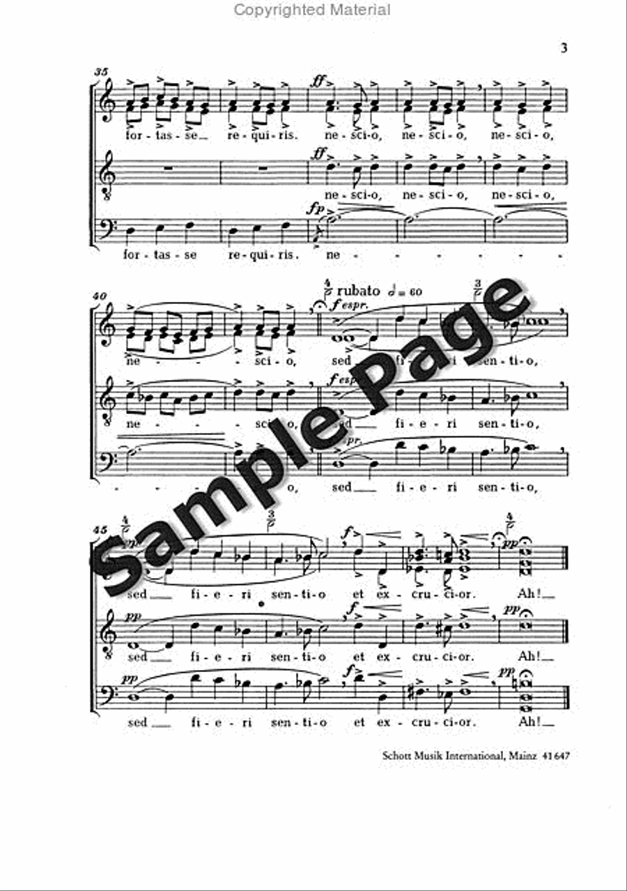 Odi et Amo 4-Part scores gallery preview page 4