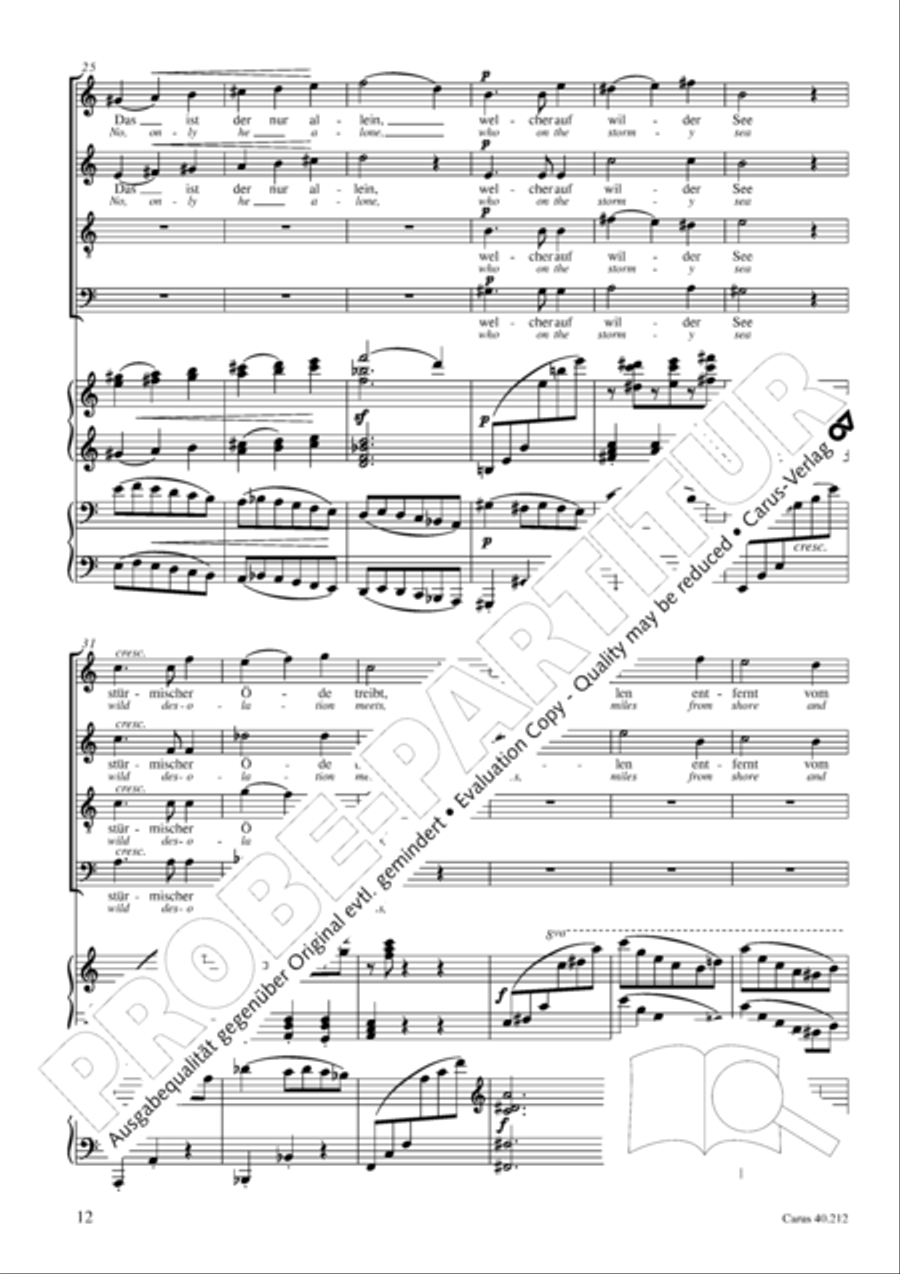 Neue Liebeslieder-Walzer, Op. 65 Choir scores gallery preview page 13
