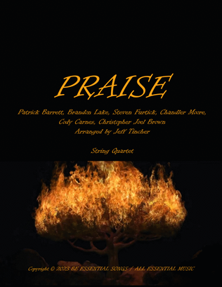 Book cover for Praise