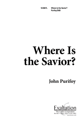 Book cover for Where Is the Savior?