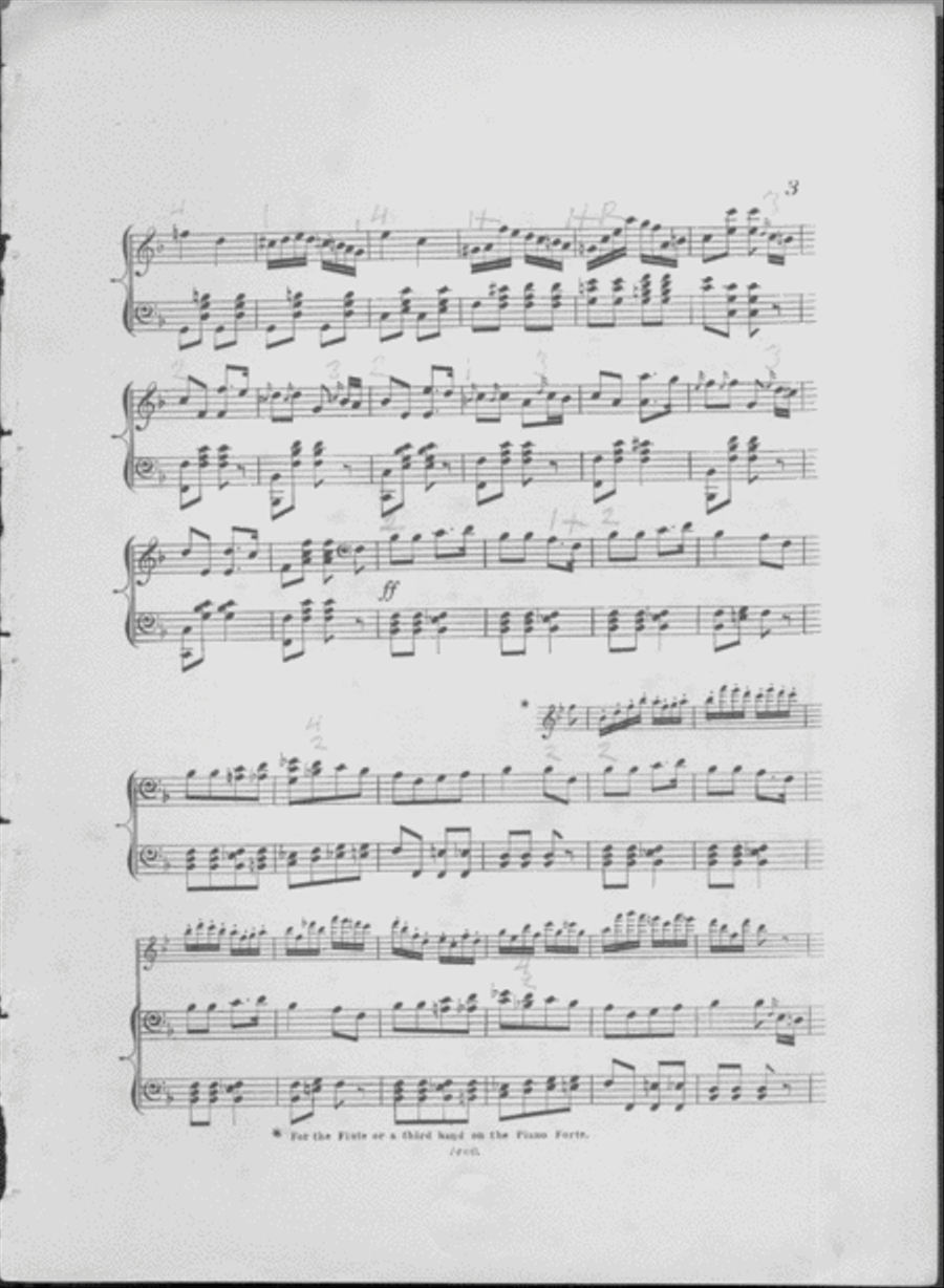 The New Bloomer Polka Flute Solo scores gallery preview page 3