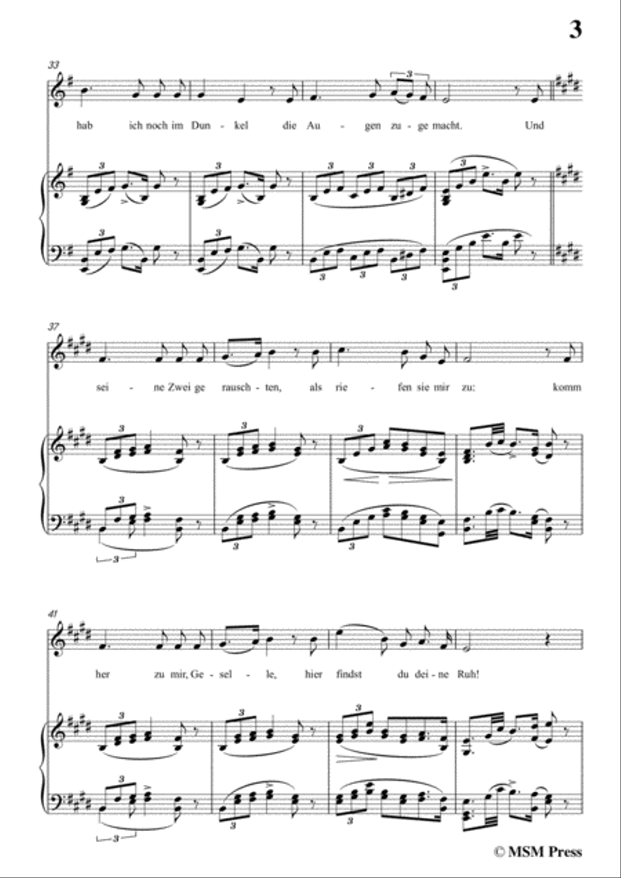 Schubert-Der Lindenbaum,Op.89,No.5,in E Major,for Voice and Piano Voice Solo scores gallery preview page 5