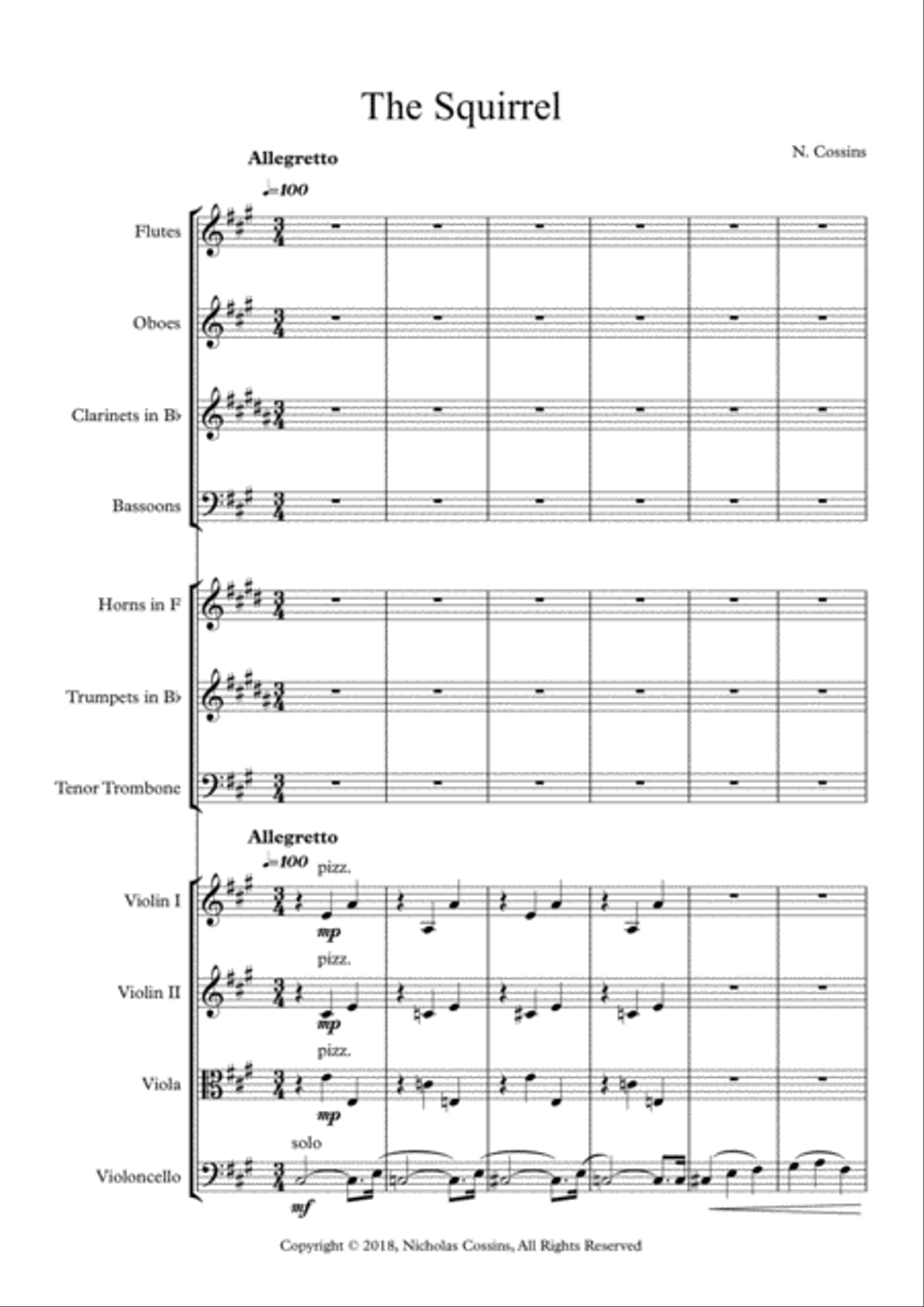 The Squirrel - N. Cossins (Original Orchestral Composition) Chamber Orchestra scores gallery preview page 2