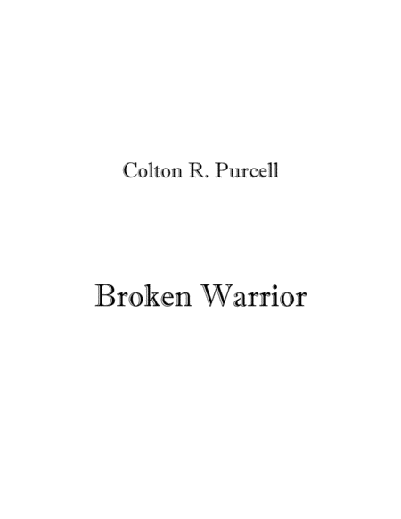 Broken Warrior image number null