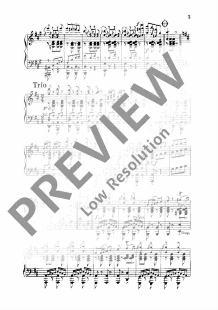 Tritsch-Tratsch Polka Orchestra scores gallery preview page 4