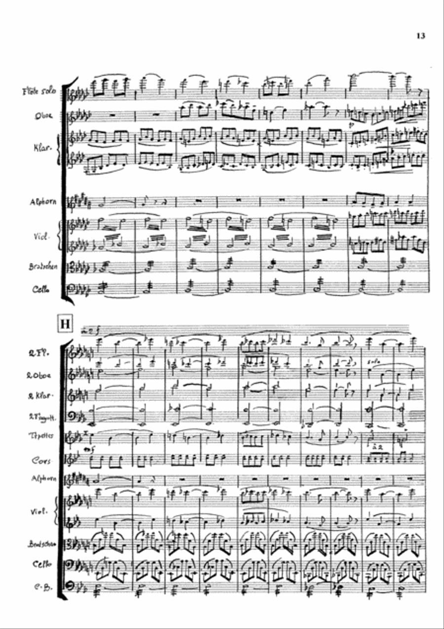 3. Alphorn Concerto Orchestra scores gallery preview page 13