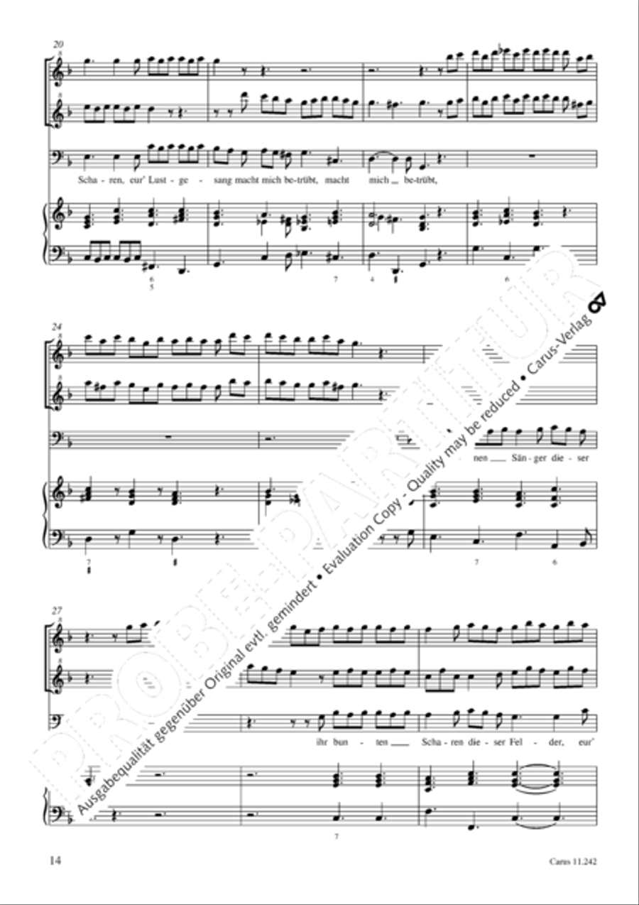 Flauto e voce IX Recorder scores gallery preview page 15