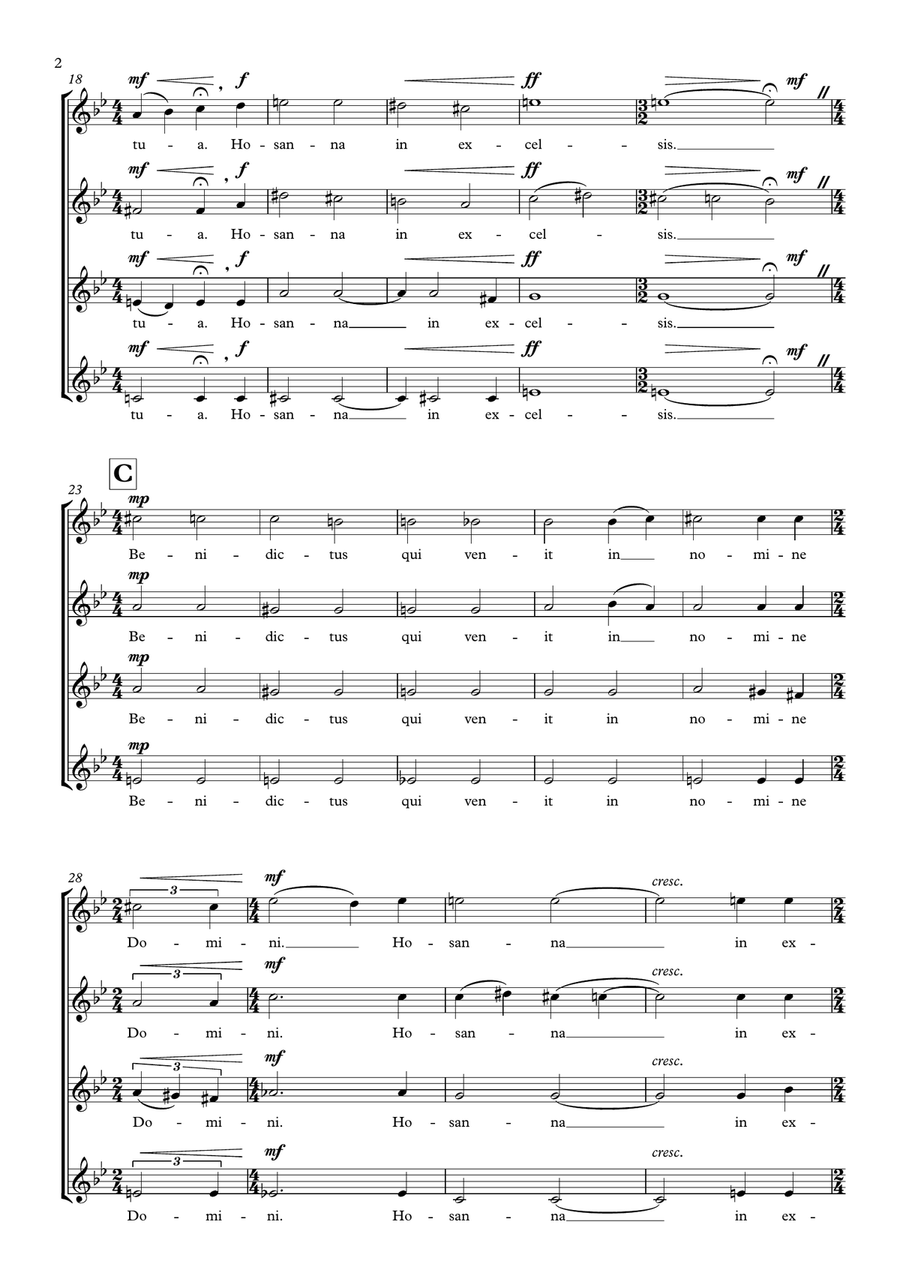Sanctus (for Boys' Treble Choir or Ladies' SSAA Choir) Latin Version SSAA scores gallery preview page 3