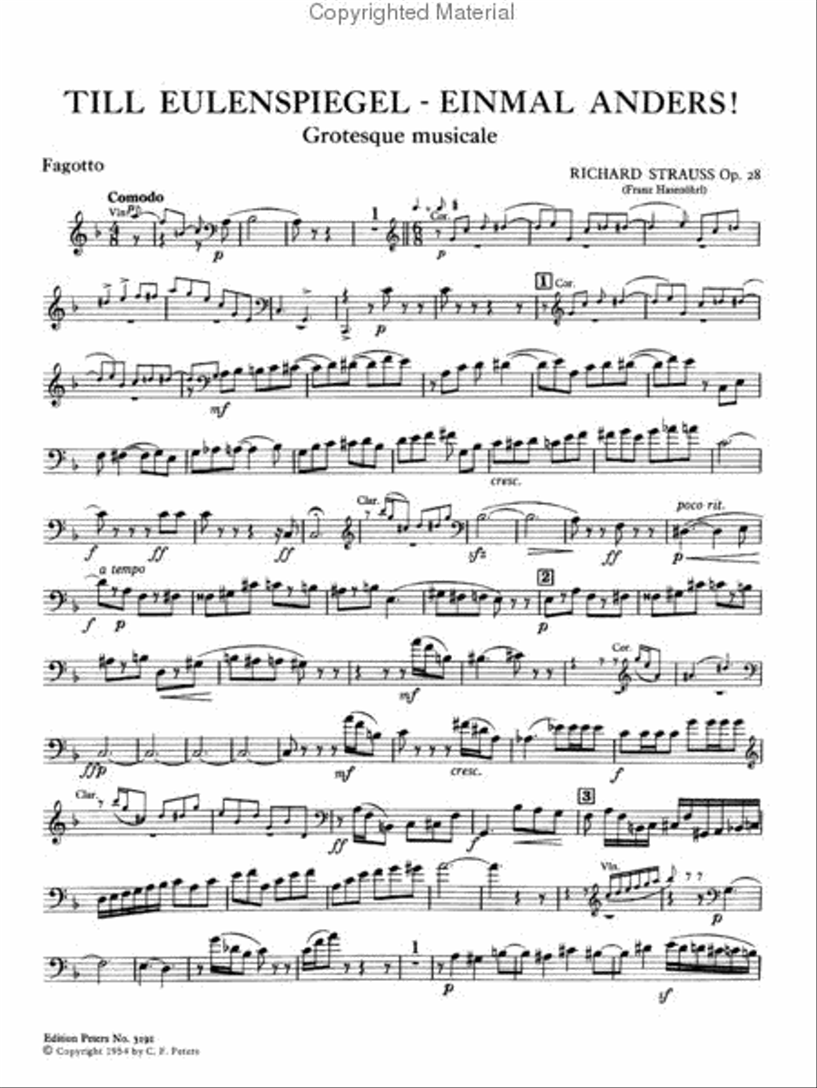 Till Eulenspiegel einmal anders!, Op. 28 Bassoon scores gallery preview page 4
