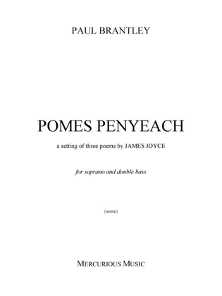 Book cover for Pomes Penyach