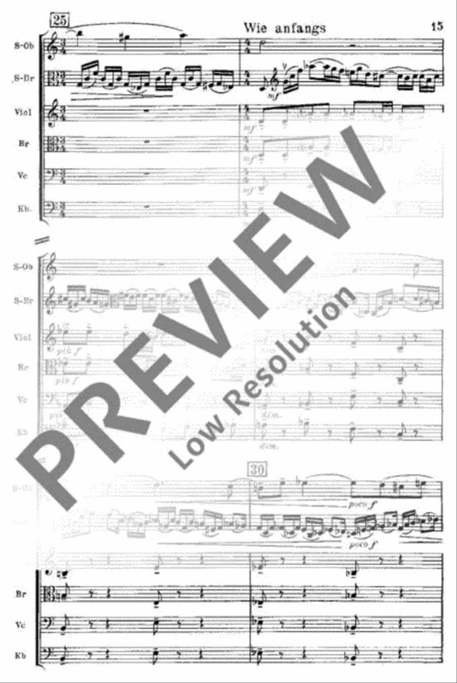 Spielmusik String Orchestra scores gallery preview page 16