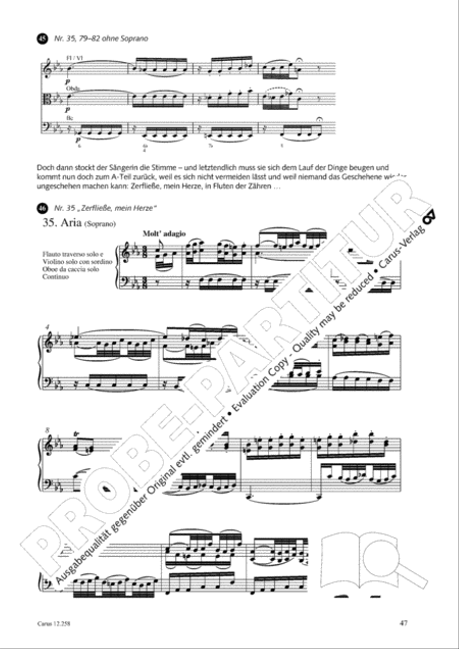 Johann Sebastian Bachs Johannes-Passion fur Kinder und Jugendliche STB scores gallery preview page 48