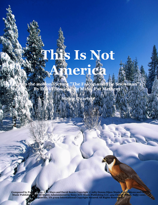 Book cover for This Is Not America