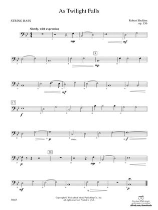 As Twilight Falls: (wp) String Bass