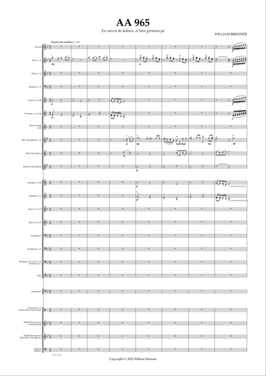 AA 965 Concert Band scores gallery preview page 5