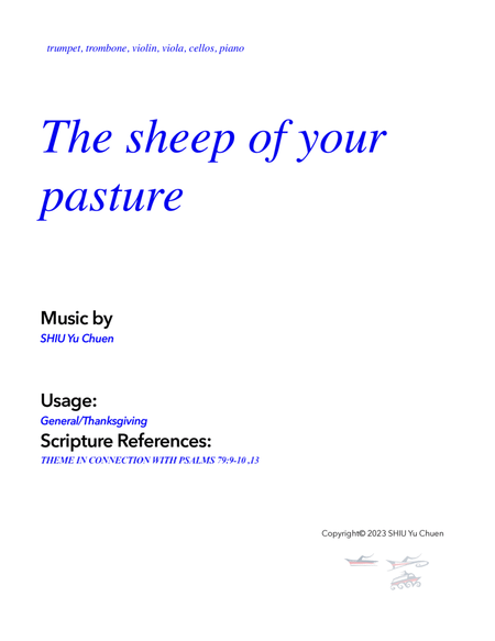 The sheep of your pasture image number null