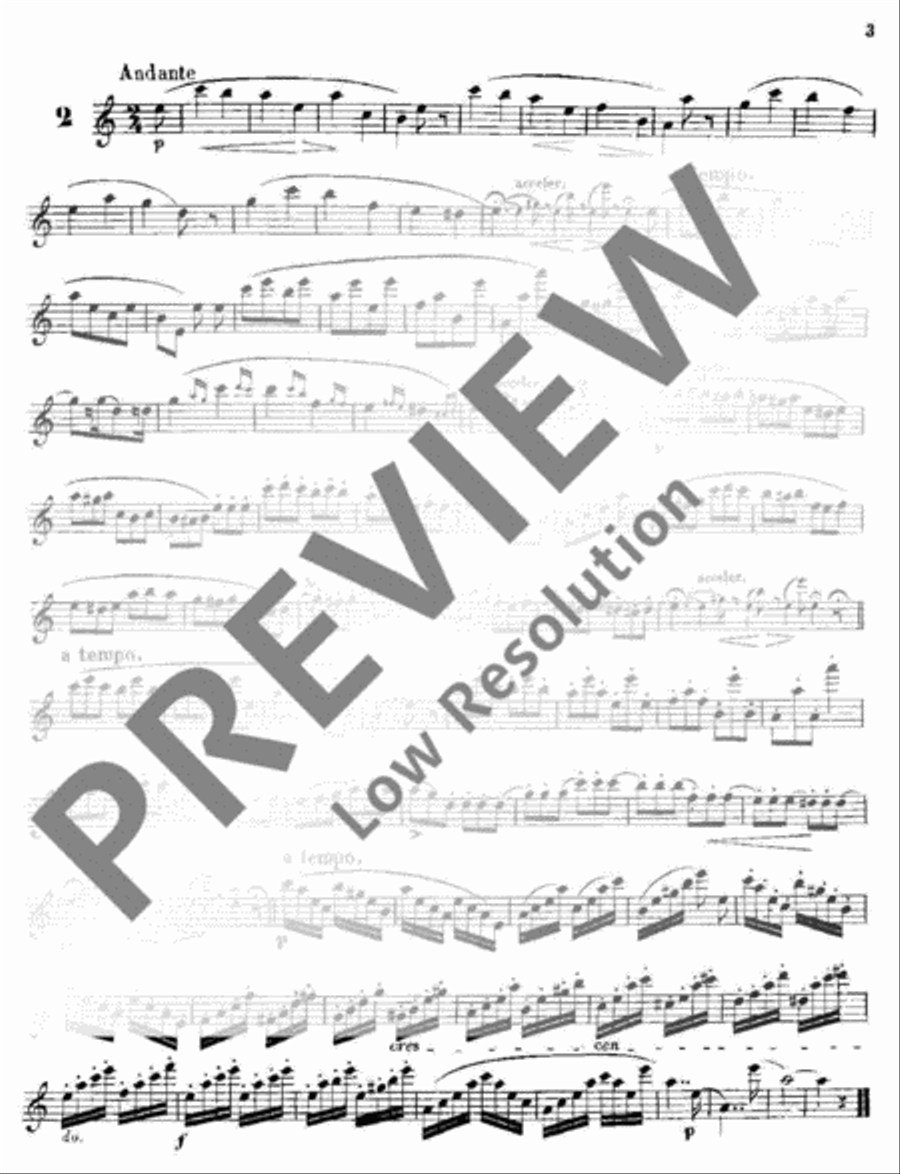 Melodic Exercises Flute scores gallery preview page 4