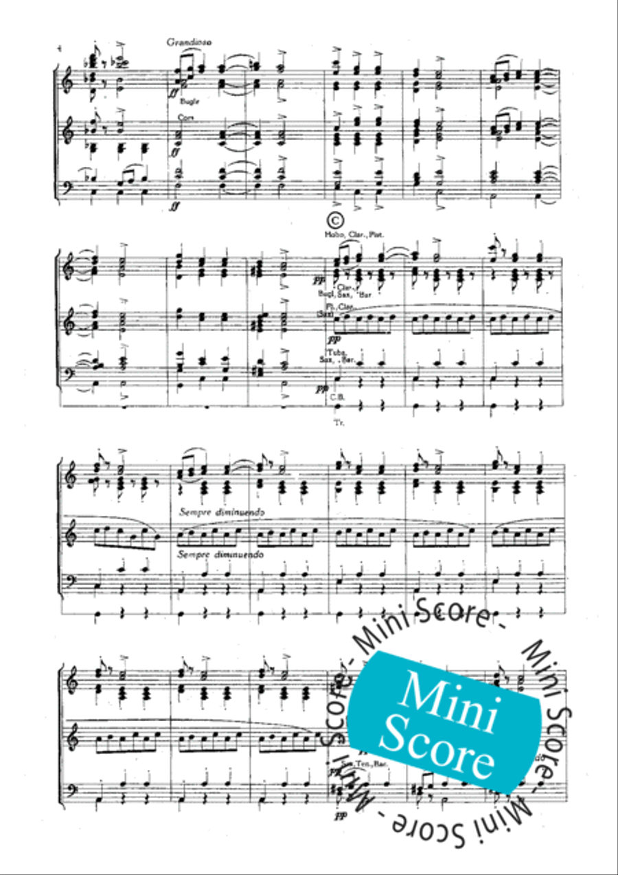 Slavische Dansen No 1,6 en 8 Concert Band scores gallery preview page 6