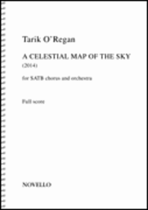Celestial Map of the Sky