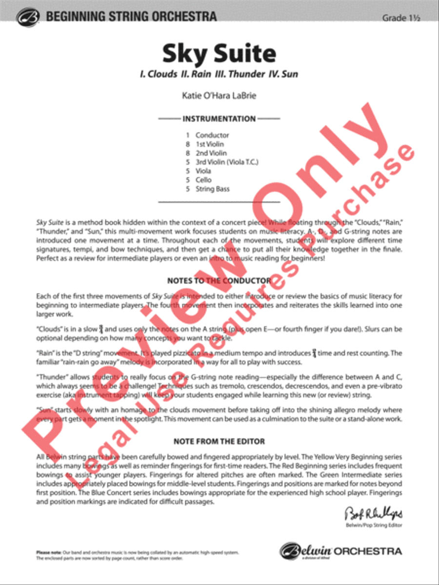 Sky Suite Sky Suite String Orchestra scores gallery preview page 2